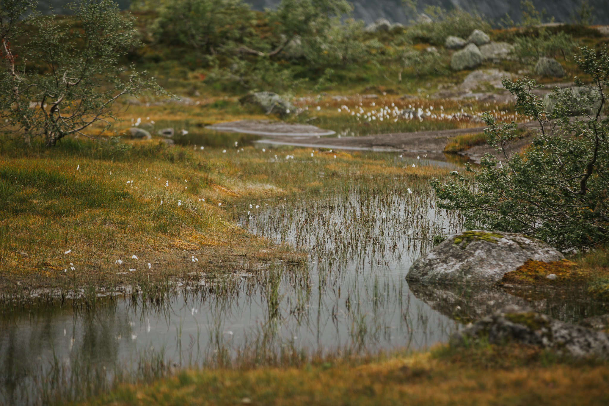 trolltunga fotograf lubos durica norsko
